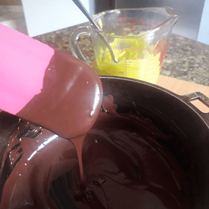 Crema de aguacate y chocolate oscuro derretido